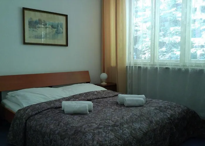 Bed and Breakfast Czerwony Dwór Krynica-Zdrój